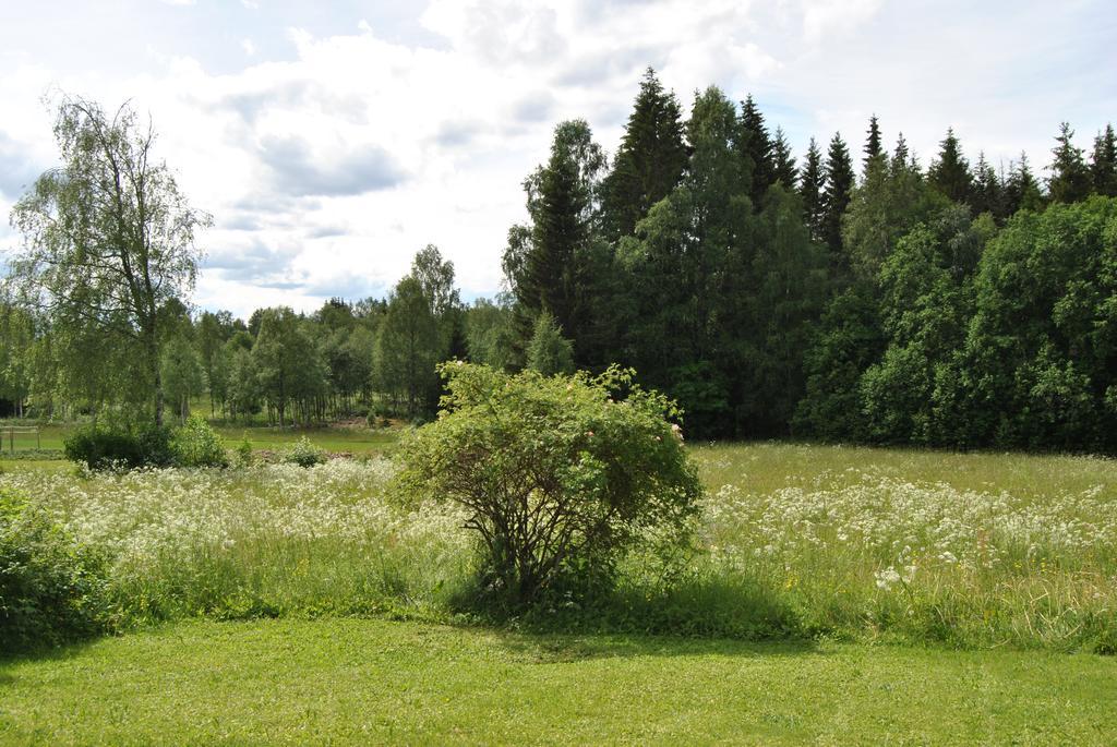 Willa Orsastuguthyrning-Oljonsbyn Zewnętrze zdjęcie